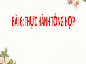 Bài giảng Tin học 8 - Bài 6: Thực hành tổng hợp