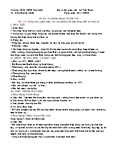 Giáo án HĐTN Hướng nghiệp 7 - Tuần 12, Tiết 12: Trưng bày, giới thiệu các sản phẩm thể hiện lòng biết ơn thầy cô - Năm học 2022-2023 - Lê Viết Hoài