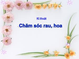Bài giảng Công nghê 4 - Bài: Chăm sóc rau, hoa