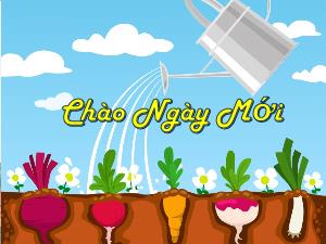 Bài giảng Đạo đức 5 - Bài: Thực hành ôn tập giữa học kì I