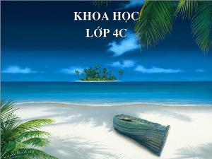 Bài giảng Khoa học 4 - Bàì: Vai trò của chất đạm và chất béo