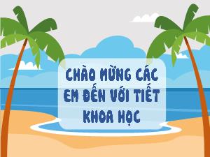 Bài giảng Khoa học 5 - Bài: Lắp mạch điện đơn gian (Tiết 1)