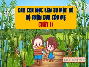 Bài giảng Khoa học 5 (CV 3799) - Bài: Cây con mọc lên từ 1 số bộ phận của cây mẹ (Tiết 1)