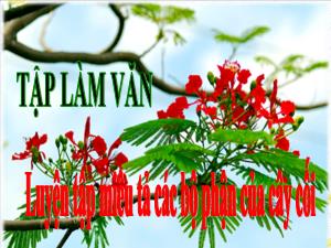 Bài giảng Tiếng Việt 5 (Tập làm văn) - Bài: Luyện tập miêu tả các bộ phận của cây cối