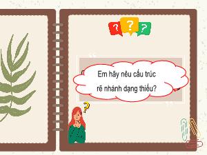 Bài giảng Tin học 5 - Bài 29: Cấu trúc rẽ nhánh dạng đủ