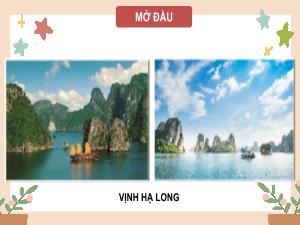 Bài giảng Tin học 5 - Chương 2: Mạng máy tính và Internet - Bài 4: Tìm kiếm thông tin trên website