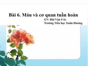 Bài giảng Tự nhiên và xã hội 3 - Bài 6: Máu và cơ quan tuần hoàn - Bùi Văn Ước