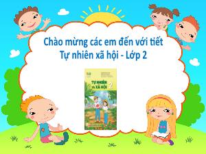 Bài giảng Tự nhiên xã hội 2 (Kết nối tri thức) - Bài 7: Ngày hội đọc sách của chúng em