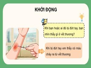 Bài giảng Tự nhiên xã hội 3 - Bài 16: Cơ quan tuần hoàn