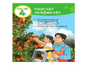 Bài giảng Tự nhiên xã hội 3 - Chủ đề 4: Thực vật và động vật - Bài 12: Các bộ phận của thực vật và chức năng của chúng (Tiết 1)