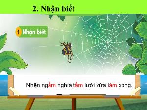 Bài giảng Tiếng Việt 1 (Kết nối tri thức) - Tuần 8, Bài 34: Am, ăm, âm